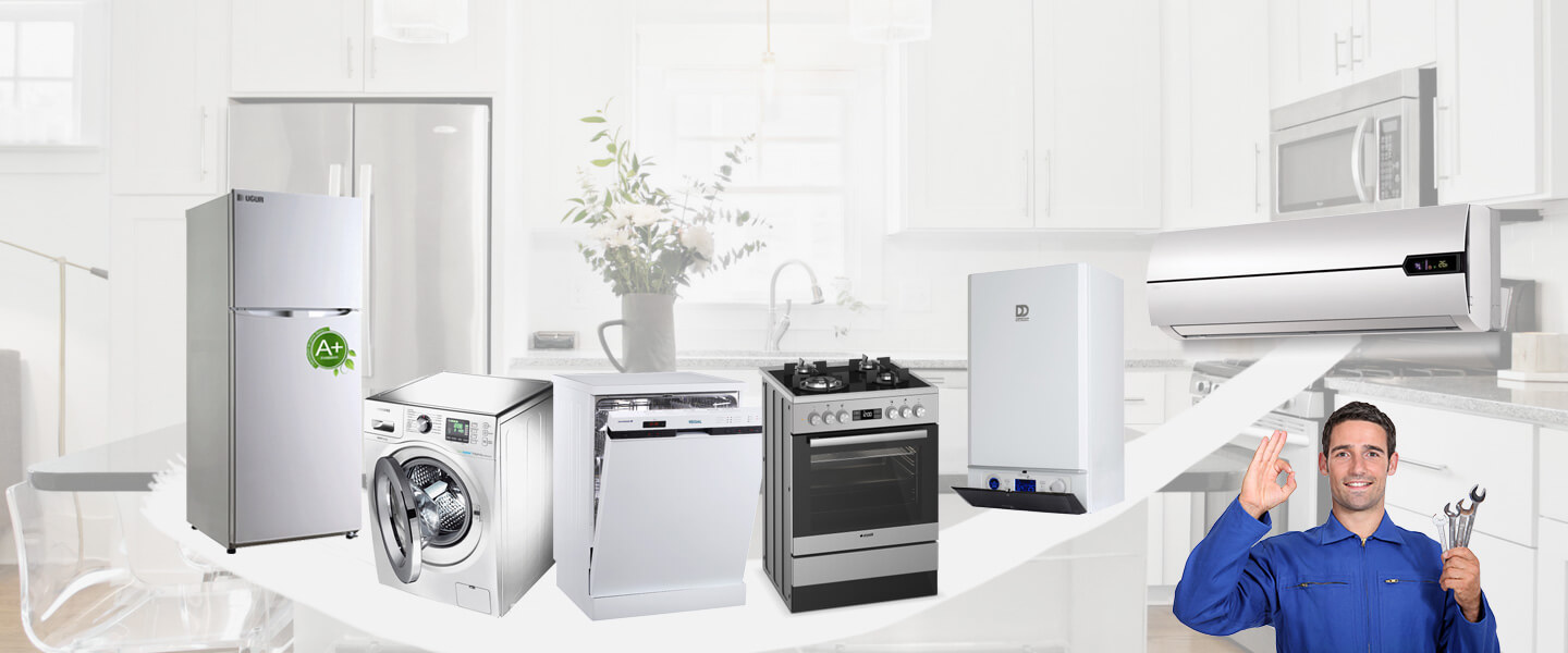 Banaz Electrolux Servisi